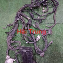 Bộ dây điện động cơ Toyota Corolla 2000 Tháo Xe