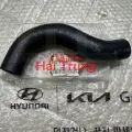 Ống két nước trên  Hyundai Elnatra chính hãng