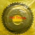 Bánh răng trục cam Hyundai Kia 243222F000