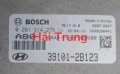 Hộp điều khiển động cơ Hộp đen Ecu Hyundai Elantra 2015-2018 Tháo Xe 391012B123