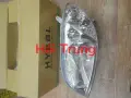 Đèn pha Vios