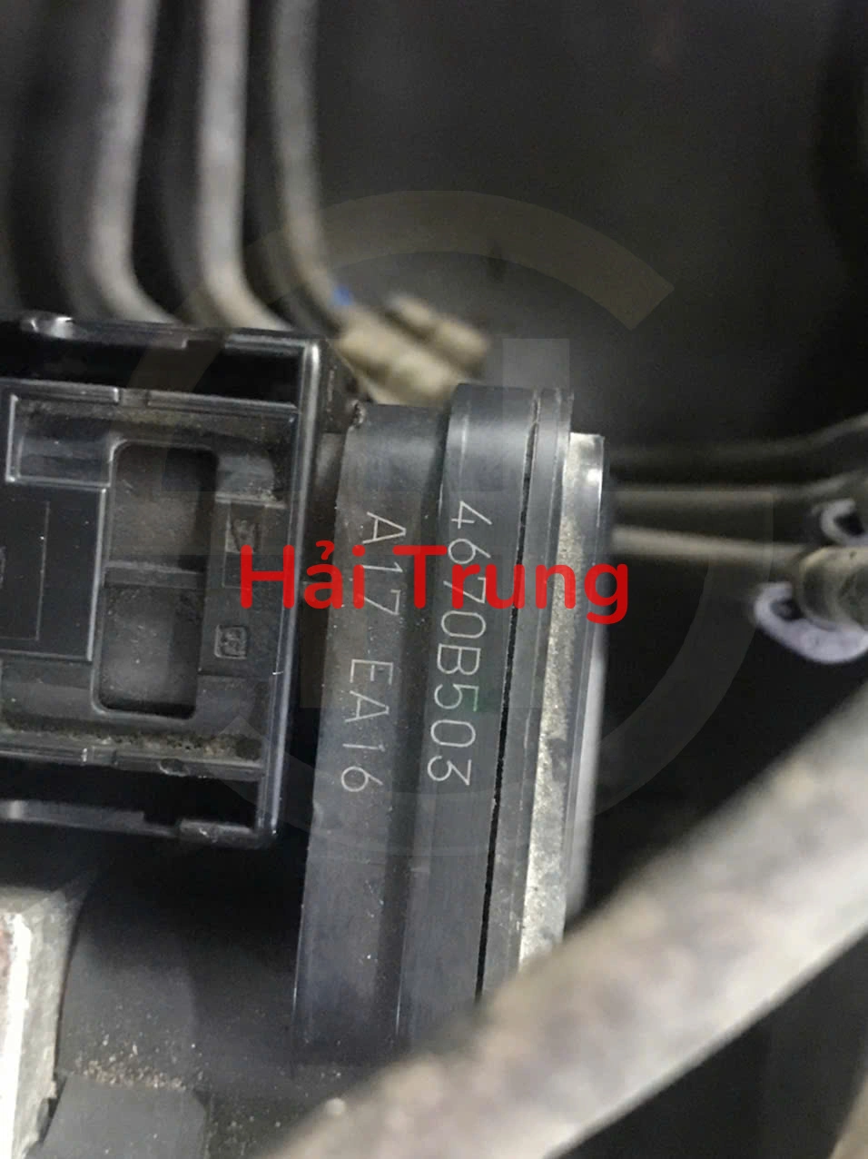 z7193971542524_8219b866c5157ffaf4195f2b6bba8b5a