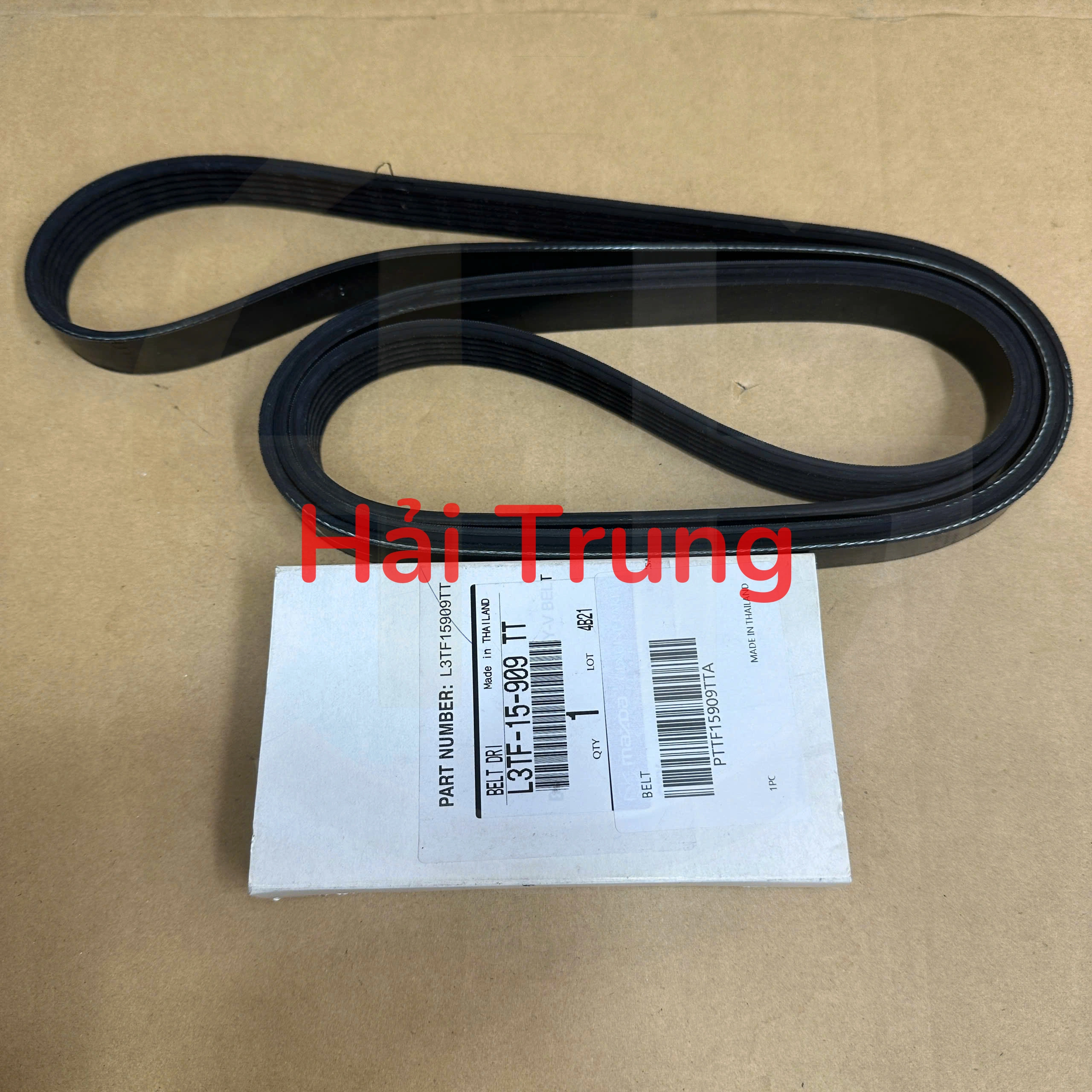 Dây curoa tổng Ford Escape 2011 chính hãng L3TF-15-909.