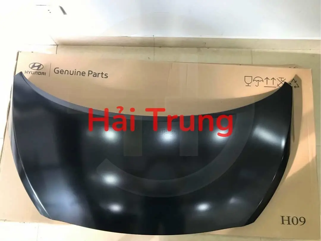 Nắp capo Hyundai Grand I10 2015