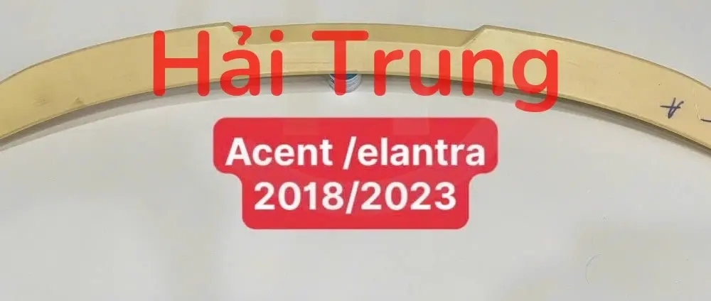 Đuôi gió Hyundai Elantra 2018-2021