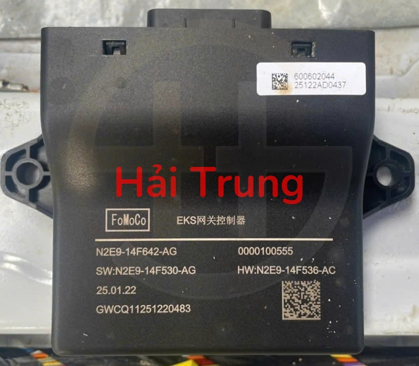 N2E9-14F642-AG Hộp chuẩn đoán xe Ford Tháo Xe