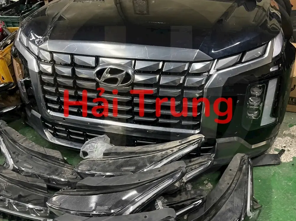 Mặt ca lăng Hyundai Palisade 2022 Tháo xe