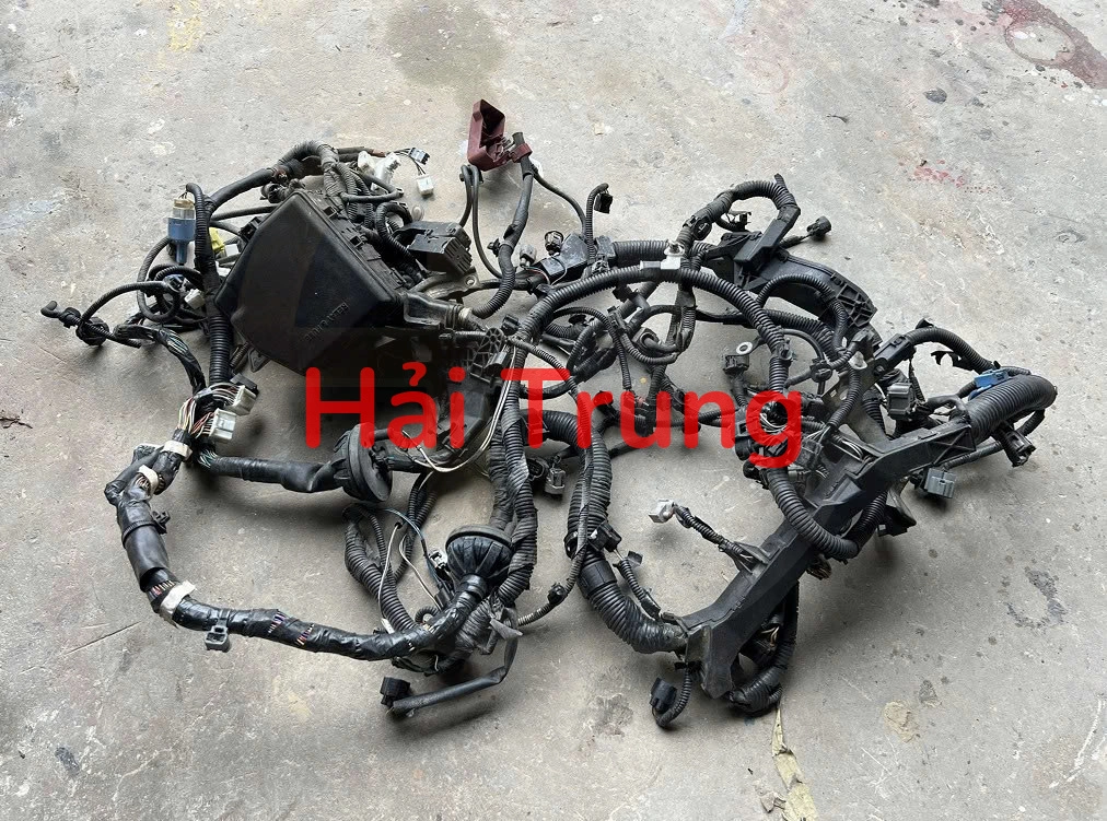 Bộ dây điện Toyota Vios 2019 2020 Tháo xe