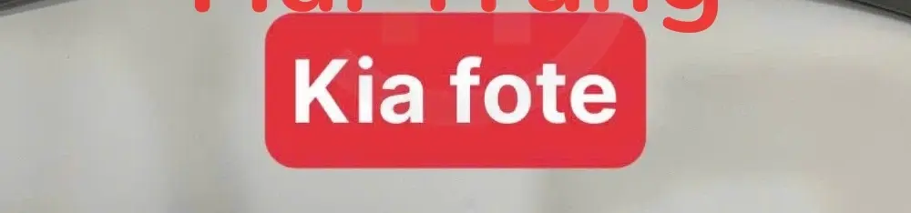 Đuôi gió Kia Forte 2009-2013