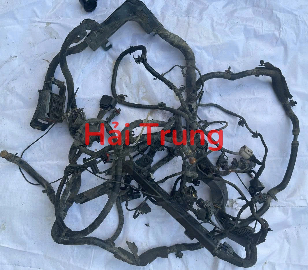 Bộ dây điện Kia Sedona 2019 2020 Tháo Xe