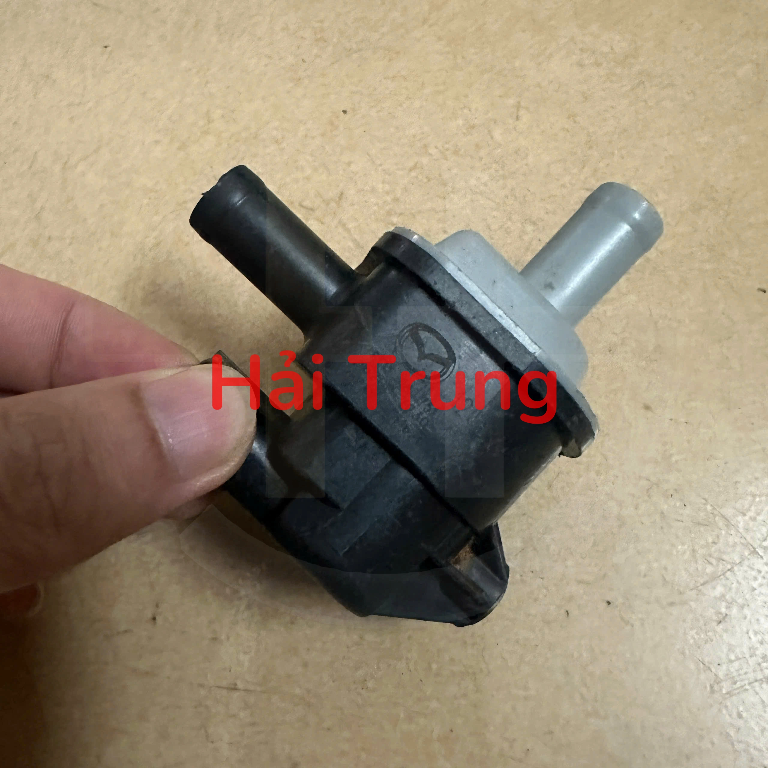 z6751467033181_da838ce300e084990f8e9b52bc4049da