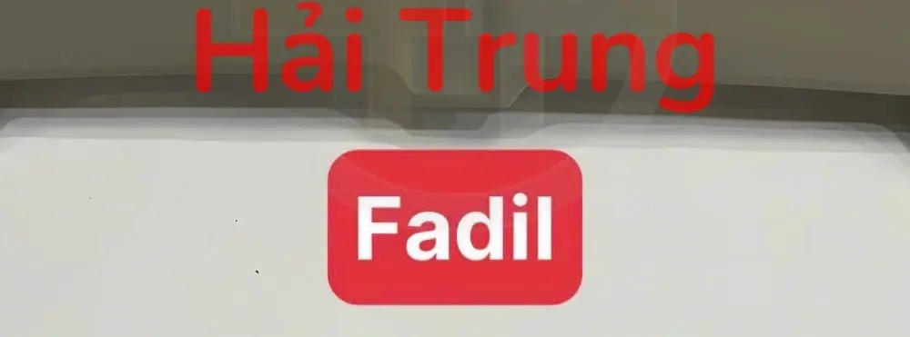 Đuôi gió Vinfast Fadil