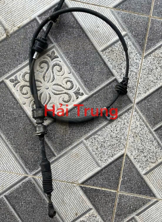 Dây đi số Ford Escape 2009-2013 Tháo Xe