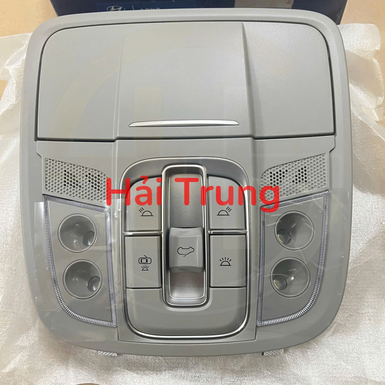 92810S1000YGE Đèn trần Hyundai Santafe 2019-2021