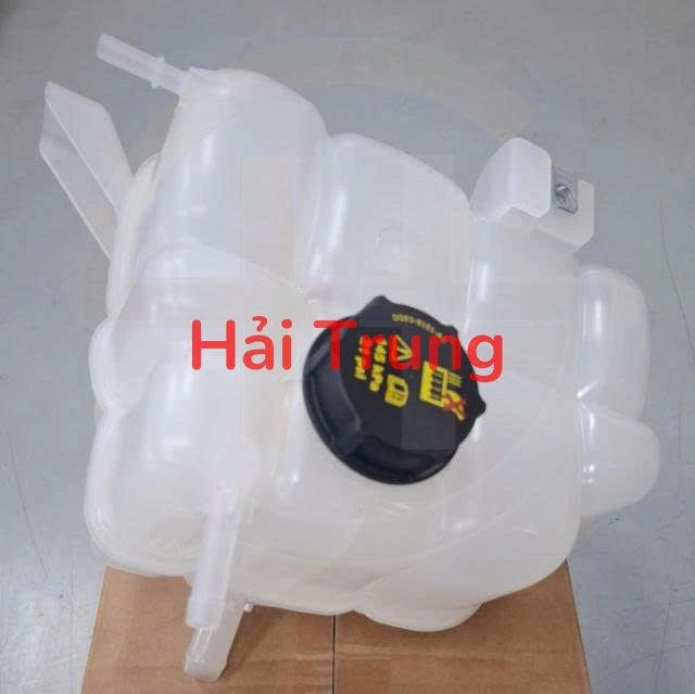Bình nước Phụ Ford Ranger 2015-2020 2.2