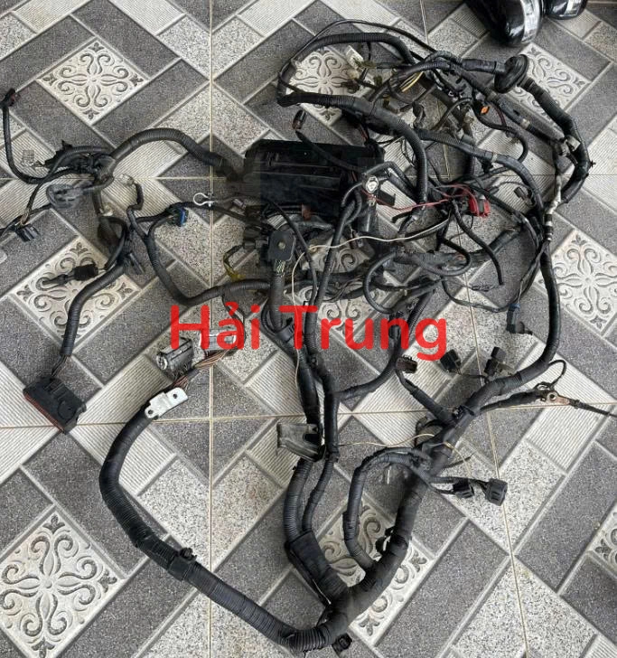 Bộ dây điện động cơ Ford Escape 2009-2013 Tháo Xe