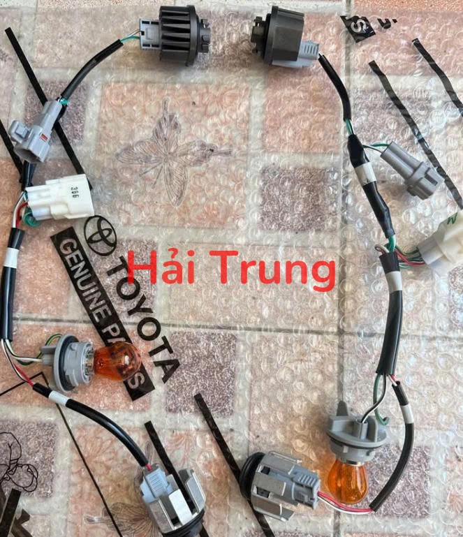 Bộ đui bóng đèn Toyota Fortuner, Hilux Tháo Xe