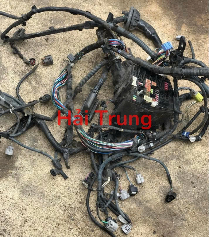 Bộ dây điện Toyota Hilux Tháo Xe