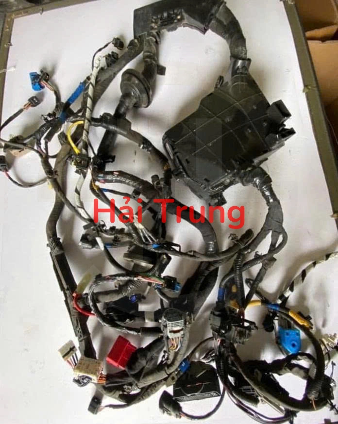 Bộ dây điện động cơ Hyundai Santafe 2020-2022 Tháo Xe