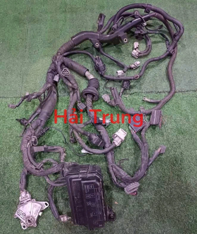 Bộ dây điện động cơ Toyota Corolla 2000 Tháo Xe