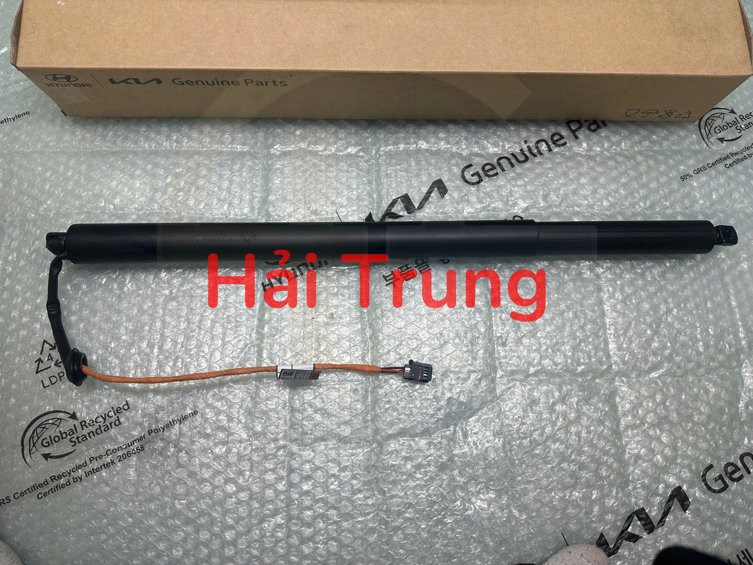 Ty cốp hậu Carnival 2022-2024