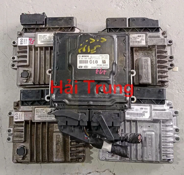 z6679698444620_66ea1528ae664d548891776d4a2c2d08