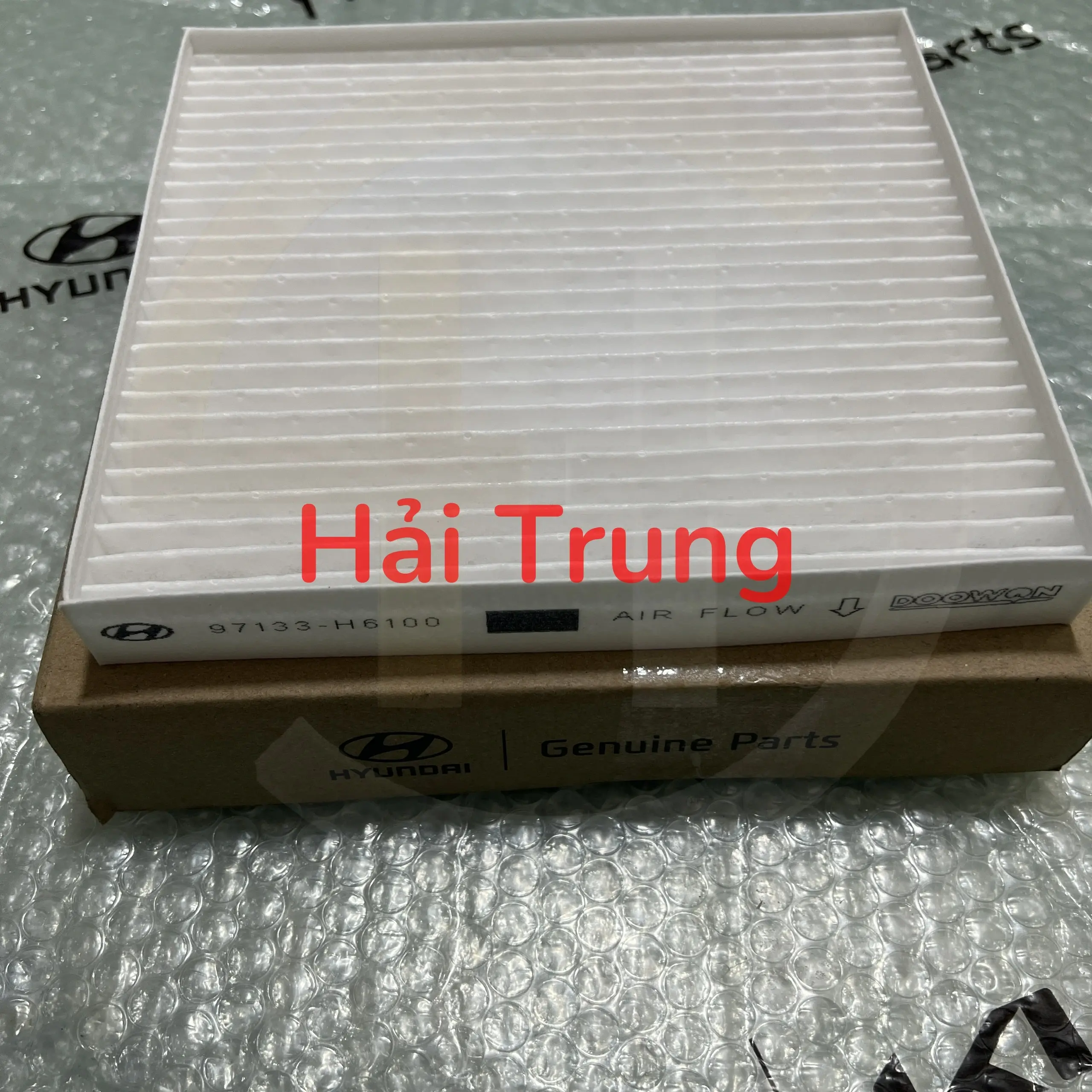97133H6100
