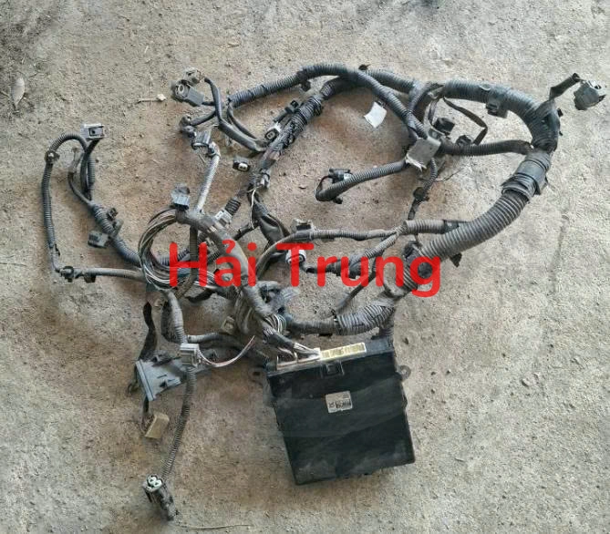 Bộ dây điện động cơ Vios Yaris Tháo Xe