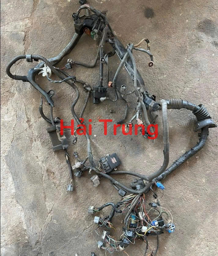 Bộ dây điện Toyota Crown 2JZ Tháo Xe