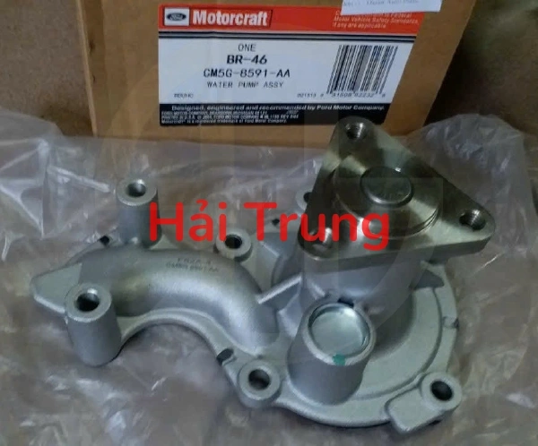 Bơm nước Ford Fiesta 2011-2017 1.0 CM5G8591AA