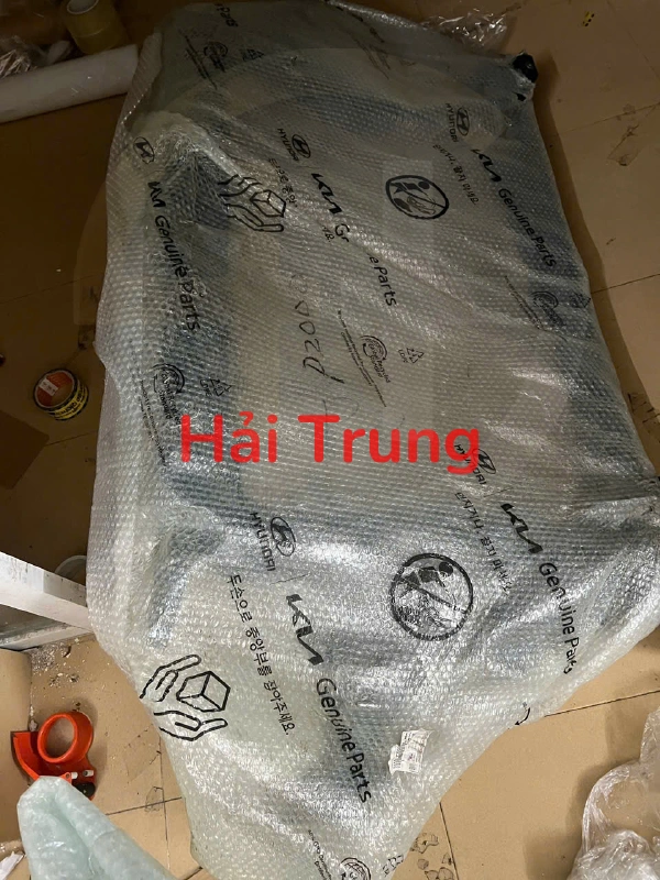 Khung xương két nước Kia Sorento 2022-2026 64101P2000