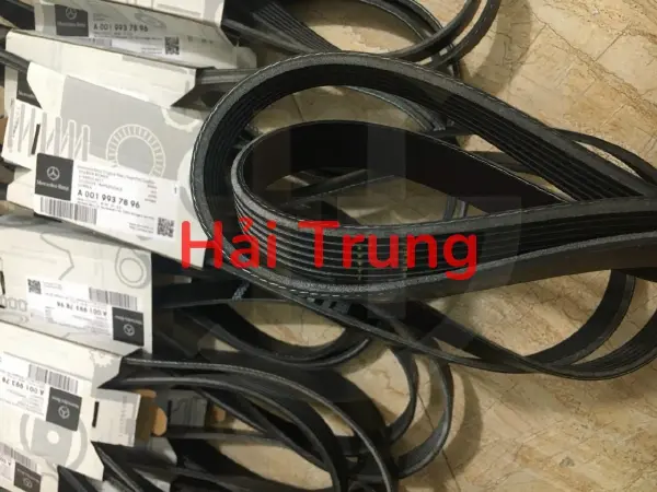 Dây curoa tổng Mercedes C200, C250, C300, E250 W204 chính hãng A0019937896