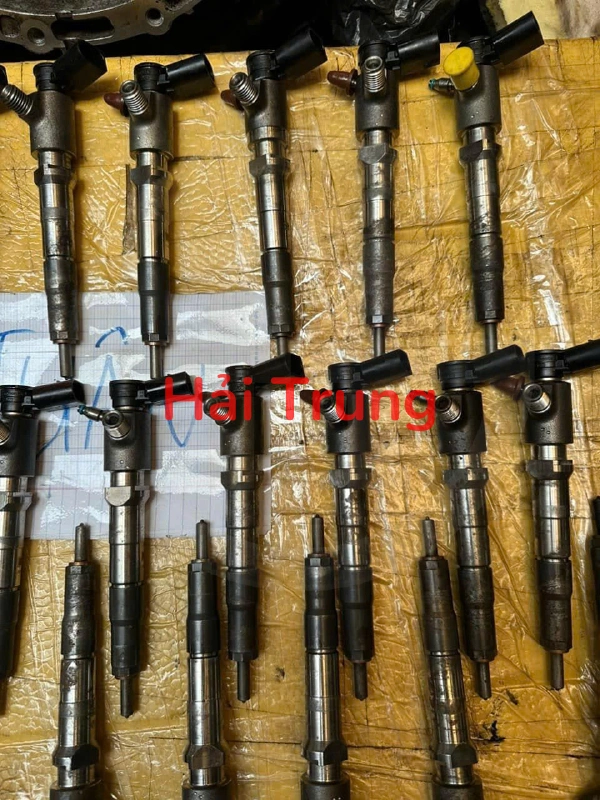 Tháo xe Kim phun Everest