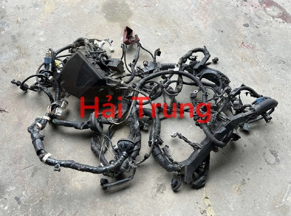 Bộ dây điện Toyota Vios 2019 2020 Tháo xe